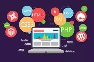 Website Development